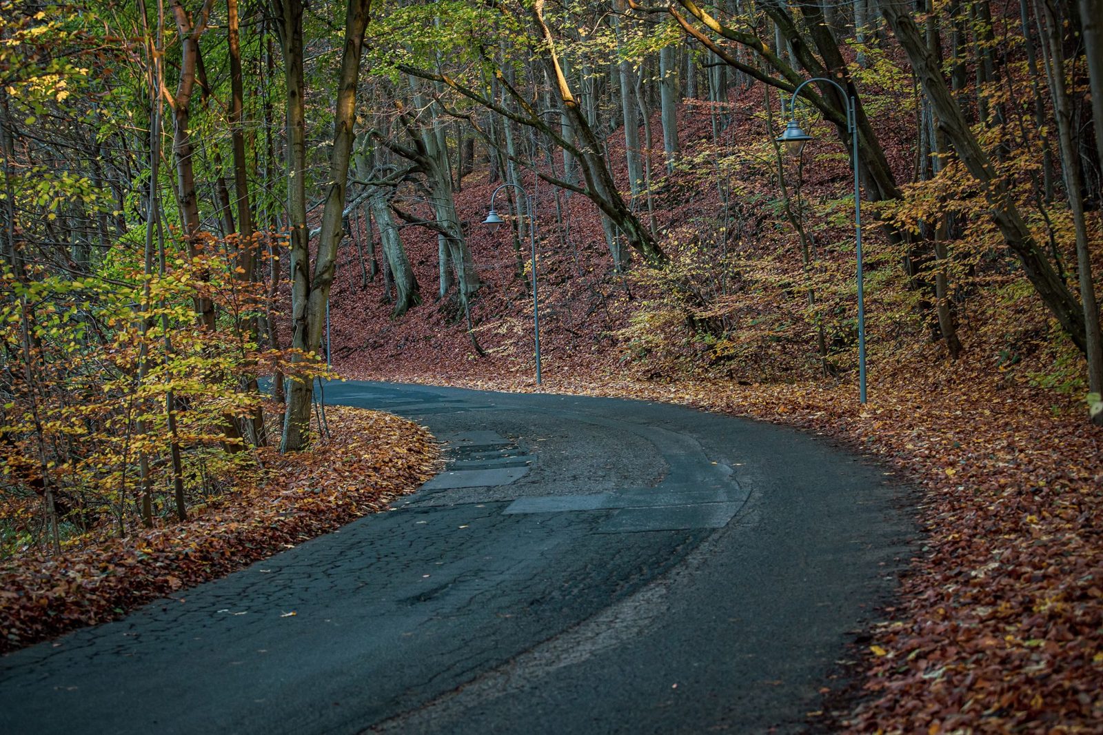 Kurvige Strasse durch den herbstlichen Schwarzwald